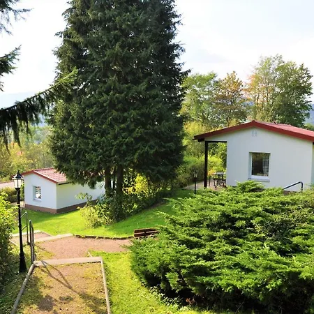 Am Hundsrueck * Floh