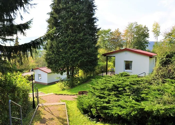 Am Hundsrück * Floh