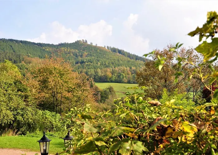 Am Hundsrück Сasa de vacaciones Floh